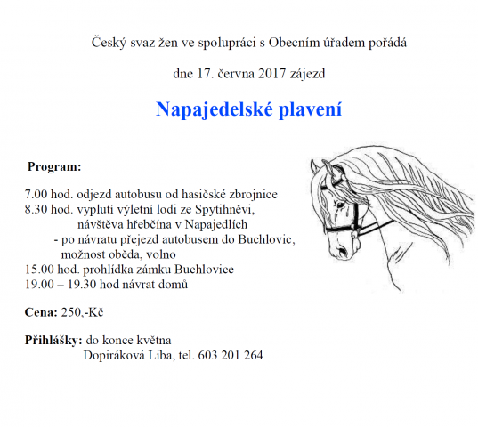 Napajedelské plavení